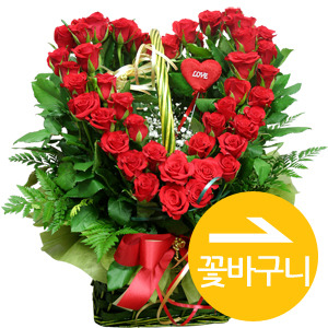 Á¾·ùº° Ä«Å×°í¸® #2