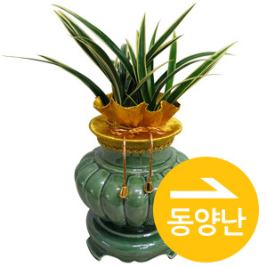 Á¾·ùº° Ä«Å×°í¸® #3