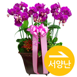 Á¾·ùº° Ä«Å×°í¸® #4