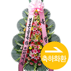 Á¾·ùº° Ä«Å×°í¸® #5