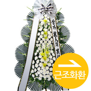 Á¾·ùº° Ä«Å×°í¸® #6