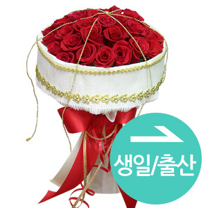 ¿ëµµº° Ä«Å×°í¸® #1