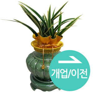 ¿ëµµº° Ä«Å×°í¸® #3