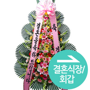 ¿ëµµº° Ä«Å×°í¸® #5