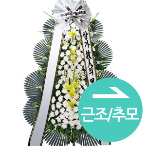 ¿ëµµº° Ä«Å×°í¸® #6