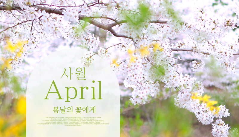 �����̹���